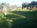 2011 03 02