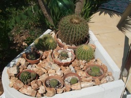 DSCF1586