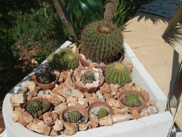 DSCF1586